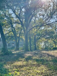 mindfulness ideas for fall