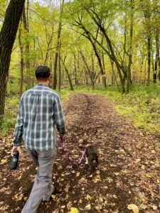a fall walk in the woods
