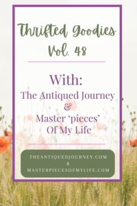 thrifted goodies volume 48 from The Antiqued Journey and Masterpieces of my Life