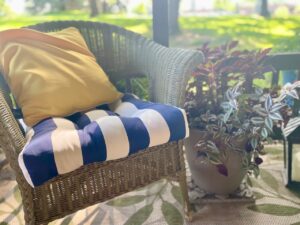 Coleus plant on a shaded small patio