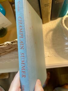 old blue book thrifted to use in late-summer decorating