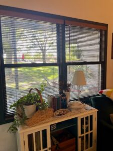 old living room blinds before the UniCurt Roman Shades