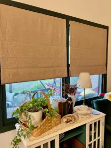 blackout roman shades for windows